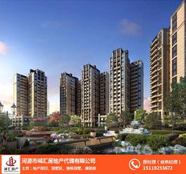 诚汇房地产 惠州楼盘策划代理的专业力量