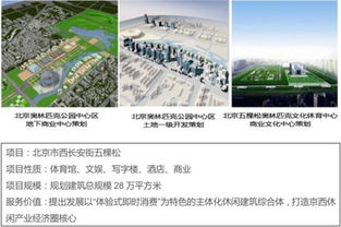 思源兴业 深耕一二线房地产代销，多渠道整合营销引领行业新赛道