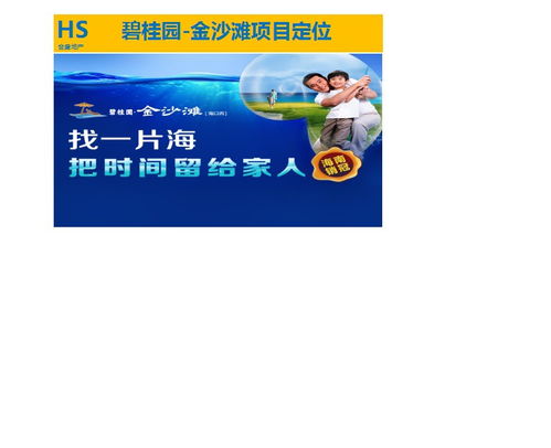 房地产营销策划与销售代理 专业服务助力项目成功