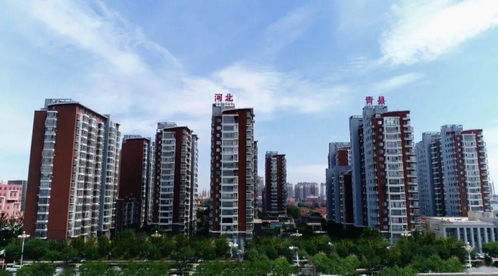 青县楼盘市场传递出重磅信号 楼盘策划代理角色升级与市场变革