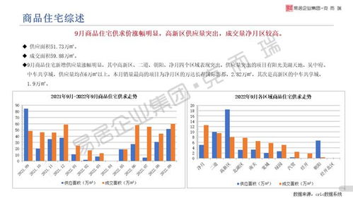 2022年9月东北区域房地产市场月报 房地产销售代理市场动态与趋势解析
